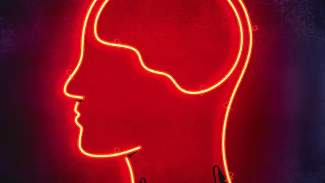 SmarterEveryDay
